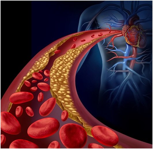 Đậu nành có thể làm giảm hàm lượng cholesterol trong máu.