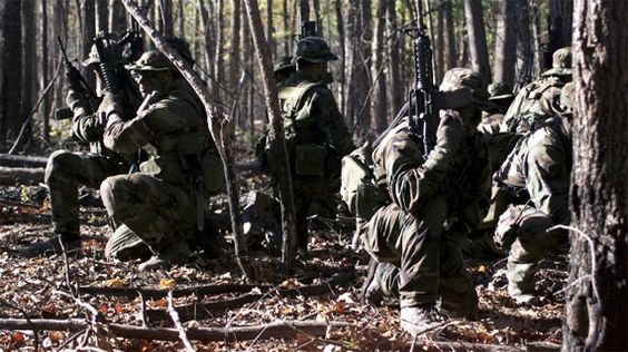 Biệt đội SEAL triển khai hoạt động trong rừng. (Nguồn: Bộ Quốc phòng Hoa Kỳ)