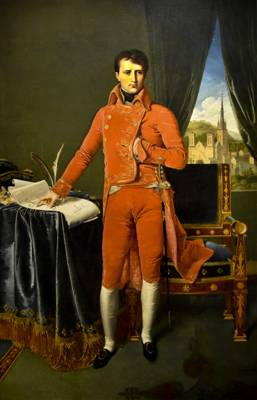 https://upload.wikimedia.org/wikipedia/commons/4/43/Jean_Auguste_Dominique_Ingres%2C_Portrait_de_Napol%C3%A9on_Bonaparte_en_premier_consul.jpg